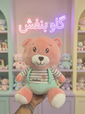 عروسک پلیشی خرس خوشتیپ
