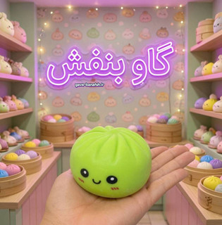 فیجت دامپلینگ اسکوییشی سوپرایزی