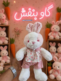 عروسک پولیشی خرگوش ناناز در 2 طرح
